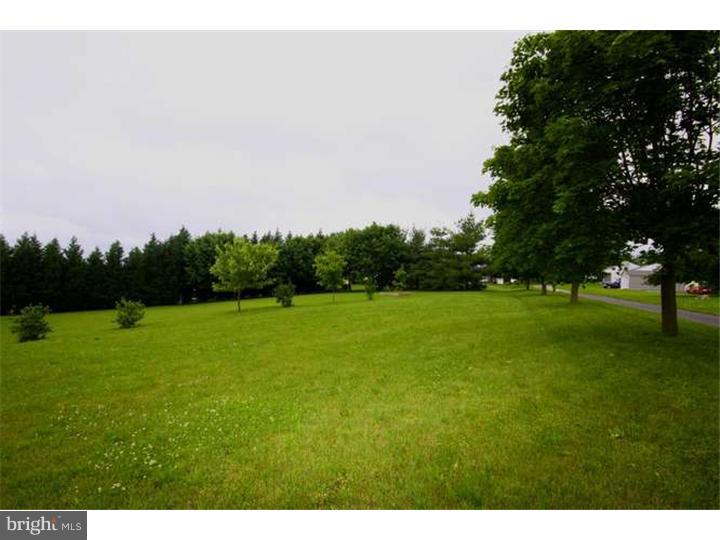 255 Green Tree Road Phoenixville, PA 19460 - Photo 23 of 25 Back Yard