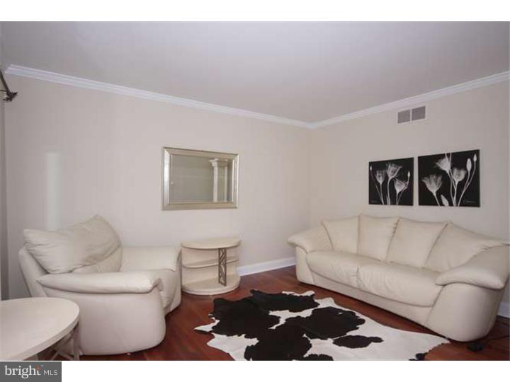 255 Green Tree Road Phoenixville, PA 19460 - Photo 4 of 25 Living Room