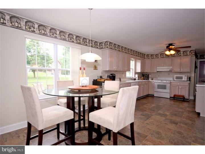 255 Green Tree Road Phoenixville, PA 19460 - Photo 10 of 25 Kitchen