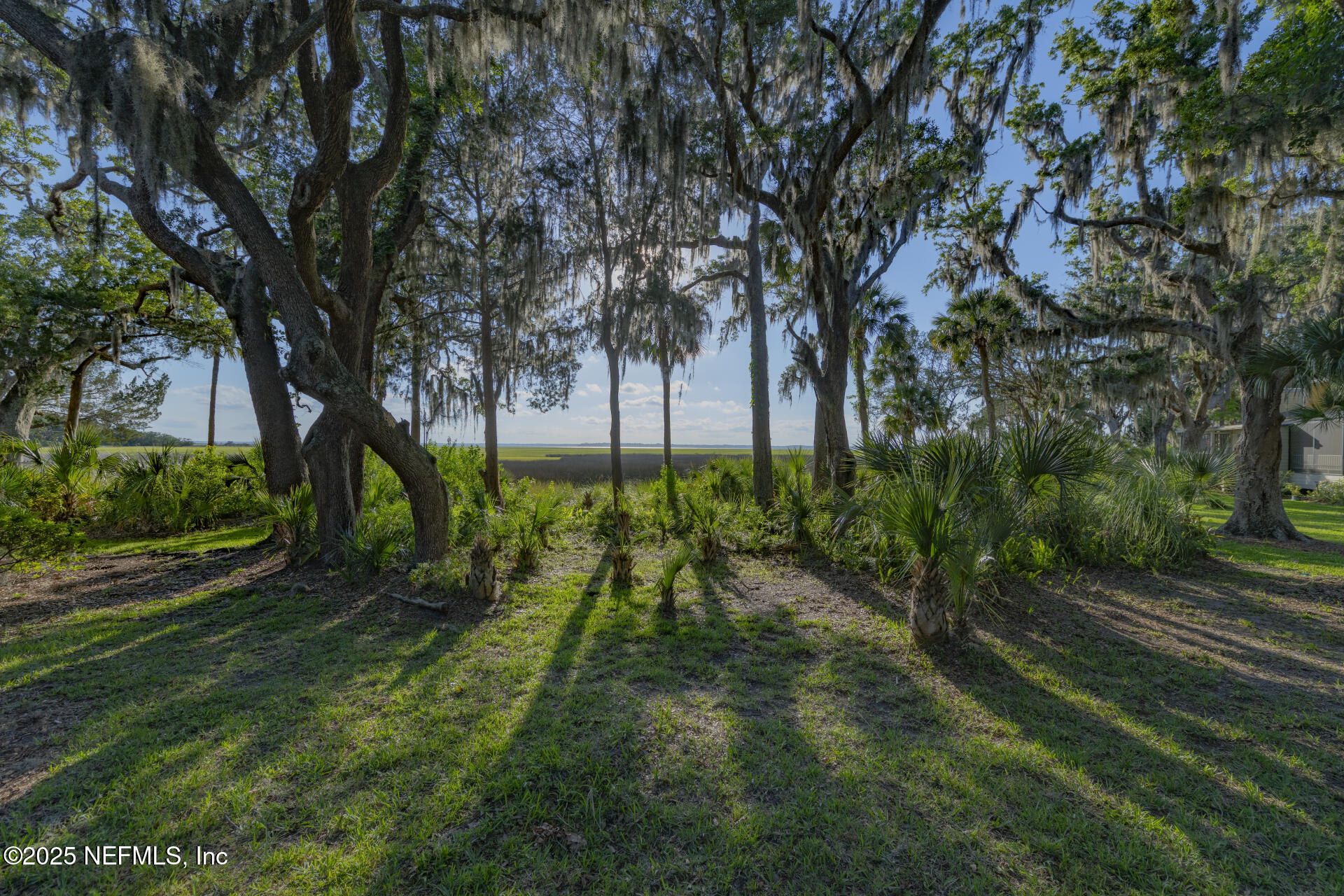 3426 Sea Marsh Road Fernandina Beach, FL 32034 - Photo 26 of 39 a view of backyard with green space