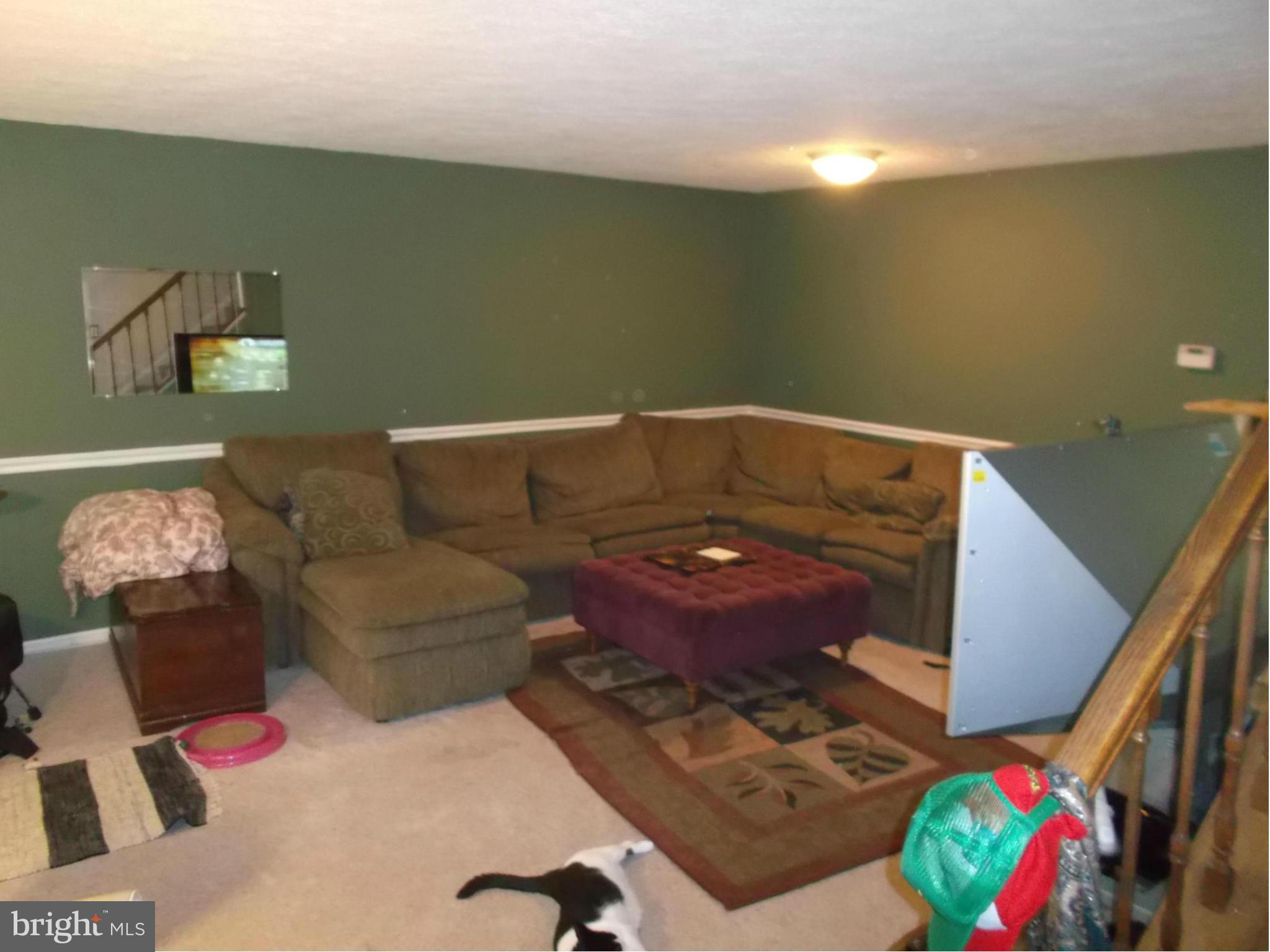 7327 Stream Way Springfield, VA 22152 - Photo 3 of 23 Basement