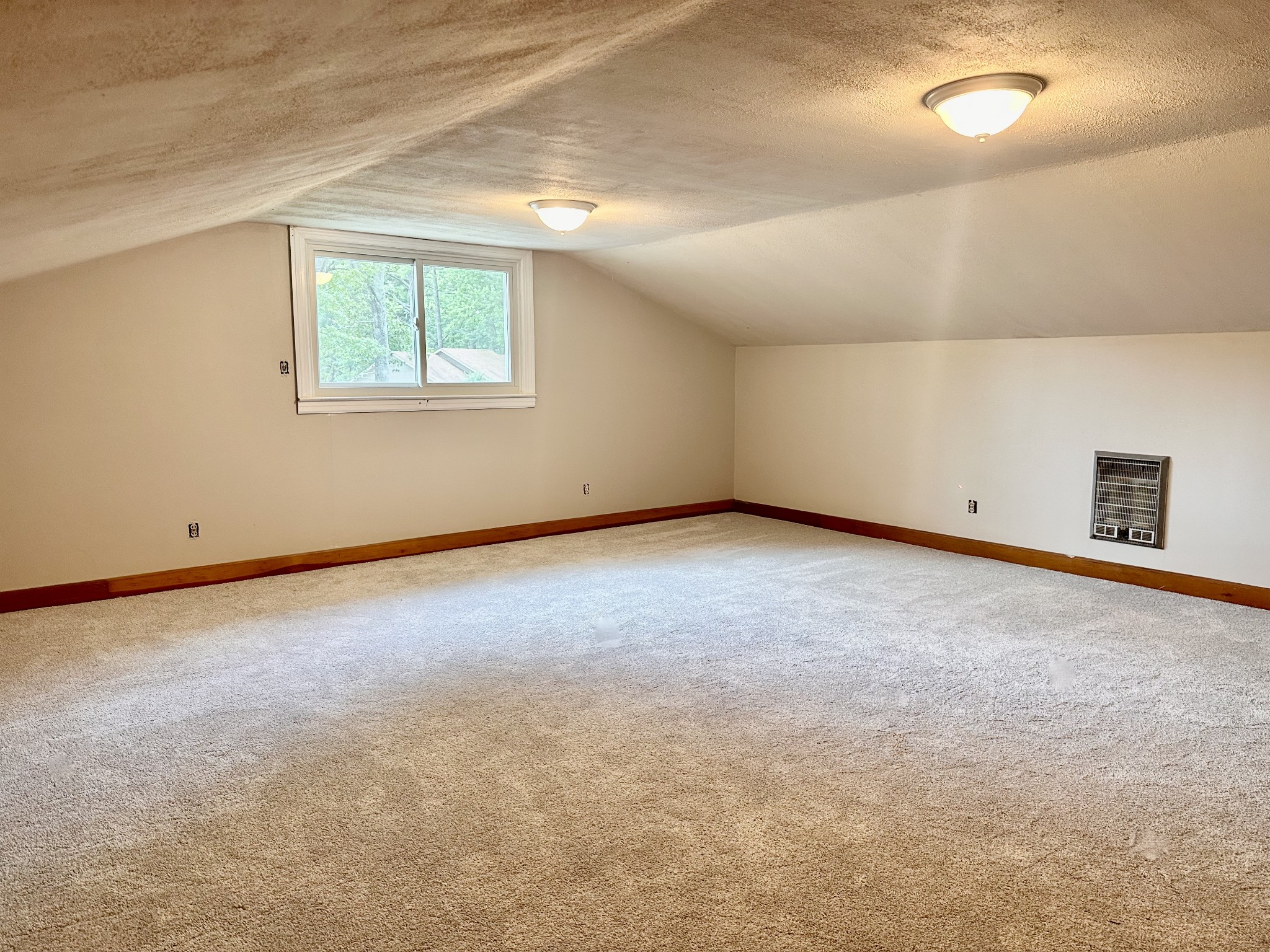 912 Hills Chapel Road Manchester, TN 37355 - Photo 20 of 23 an empty room with a empty space and windows