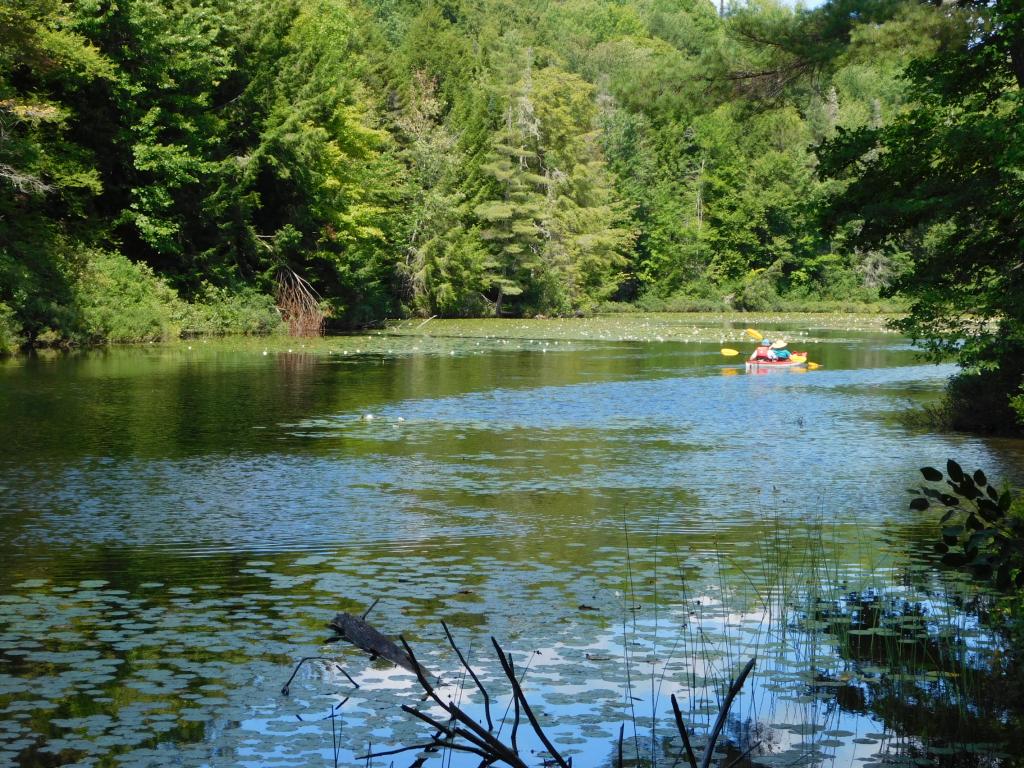 60 Lower Curtis Pond Road Calais, VT 05648 - Photo 21 of 23 Gallery Image 21