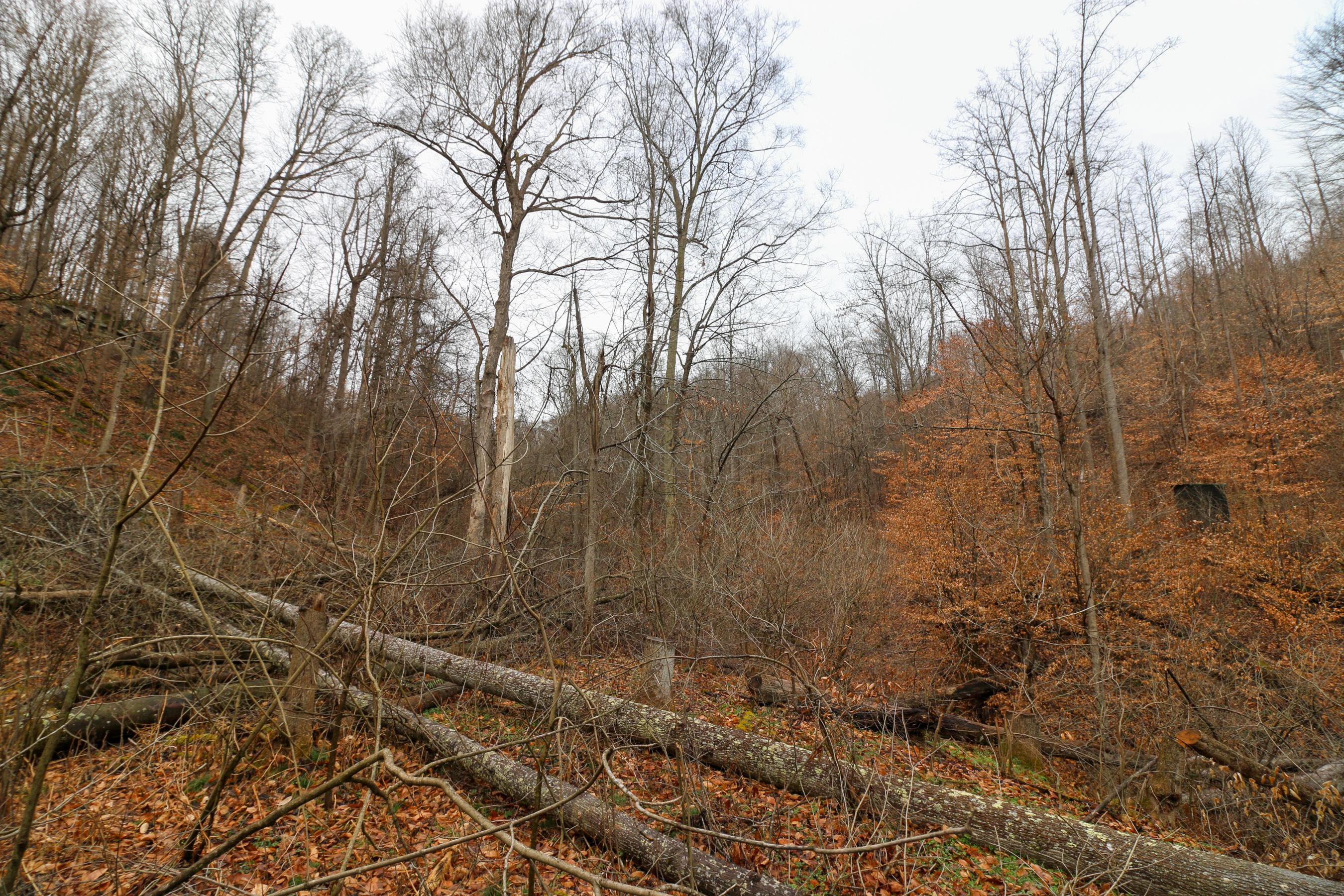 0 Leith Run Road New Matamoras, OH 45767 - Photo 13 of 49