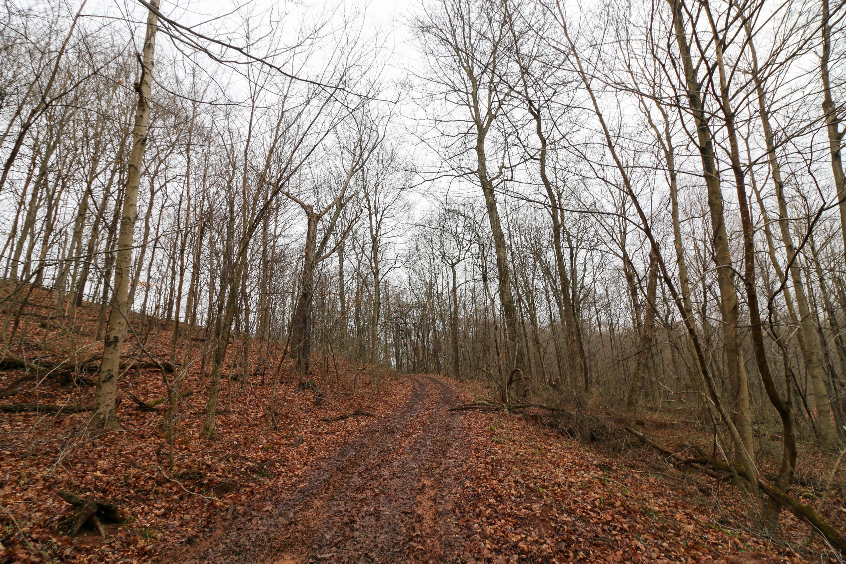 0 Leith Run Road New Matamoras, OH 45767 - Photo 16 of 49