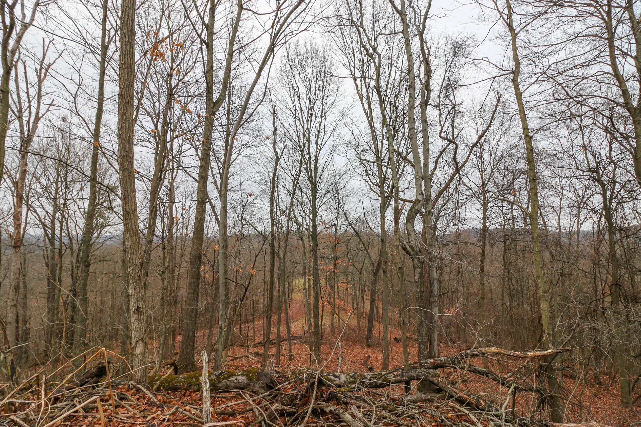 0 Leith Run Road New Matamoras, OH 45767 - Photo 17 of 49