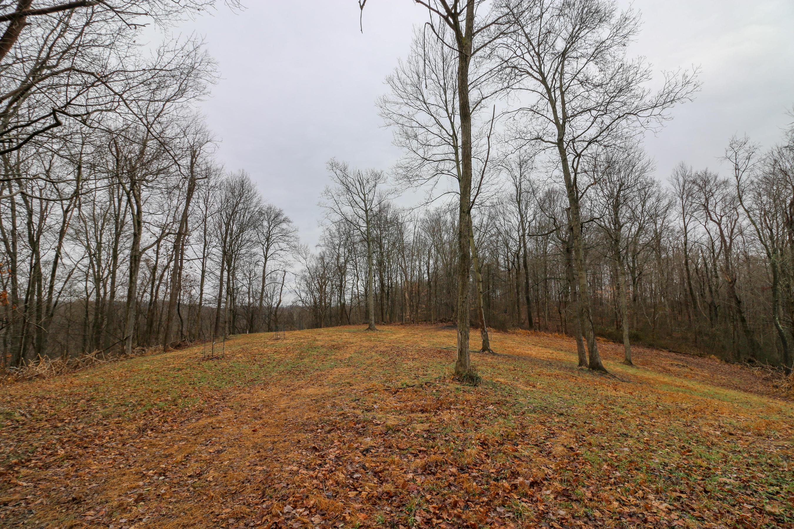 0 Leith Run Road New Matamoras, OH 45767 - Photo 18 of 49