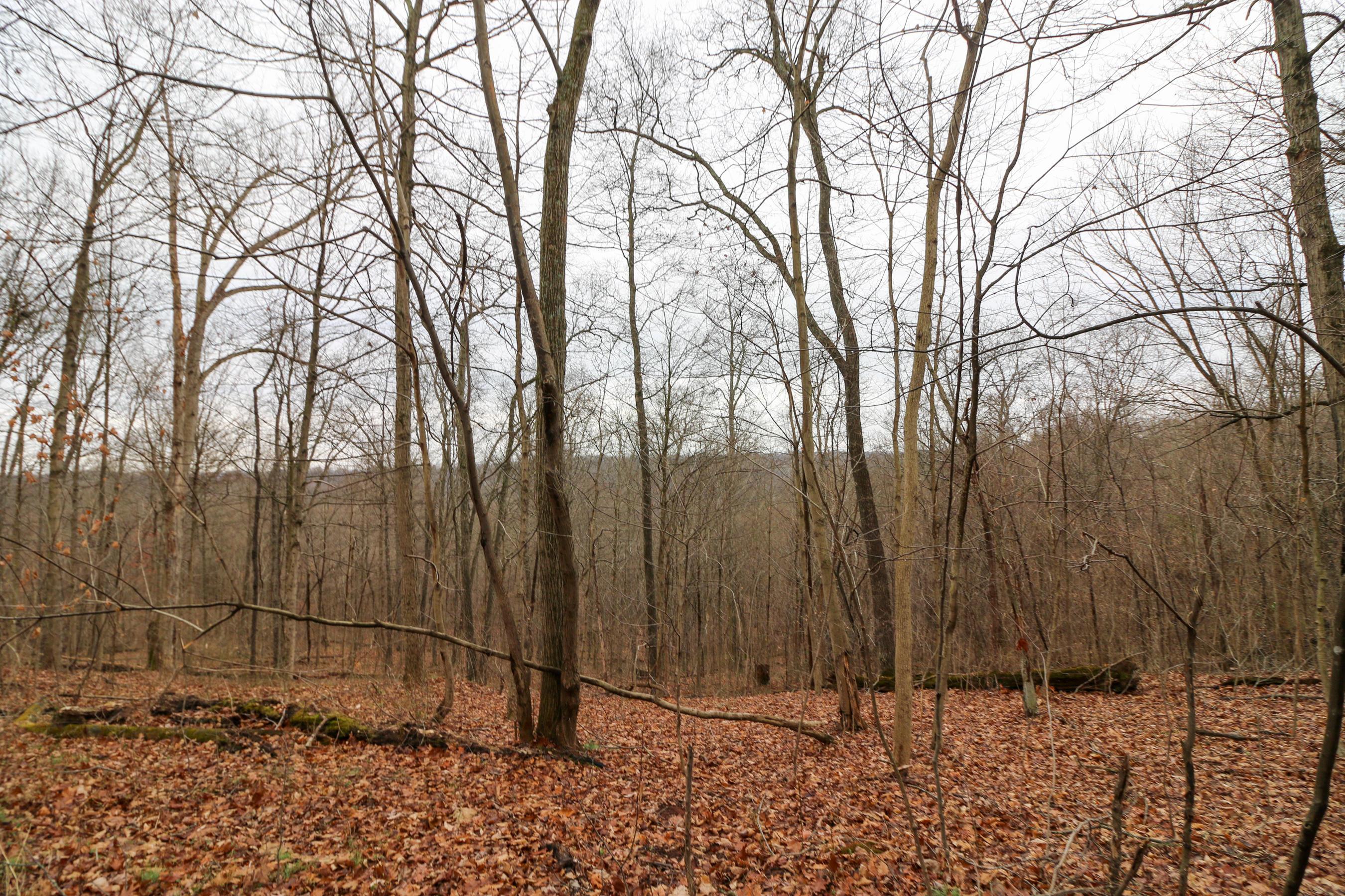 0 Leith Run Road New Matamoras, OH 45767 - Photo 19 of 49