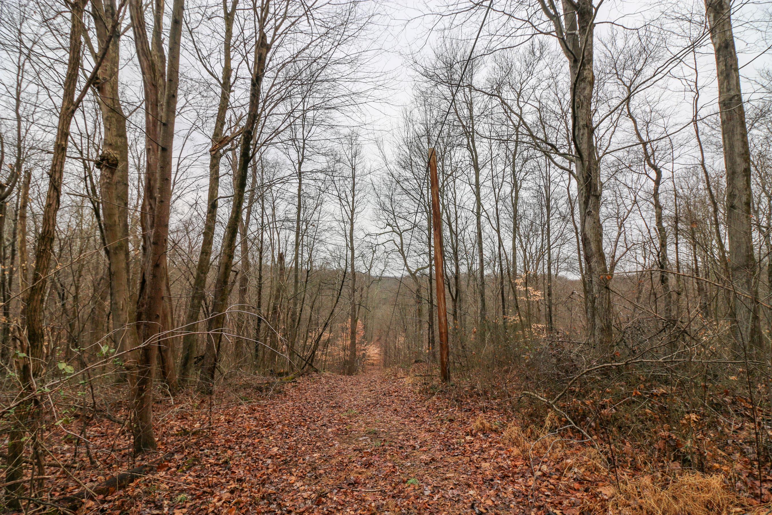 0 Leith Run Road New Matamoras, OH 45767 - Photo 20 of 49