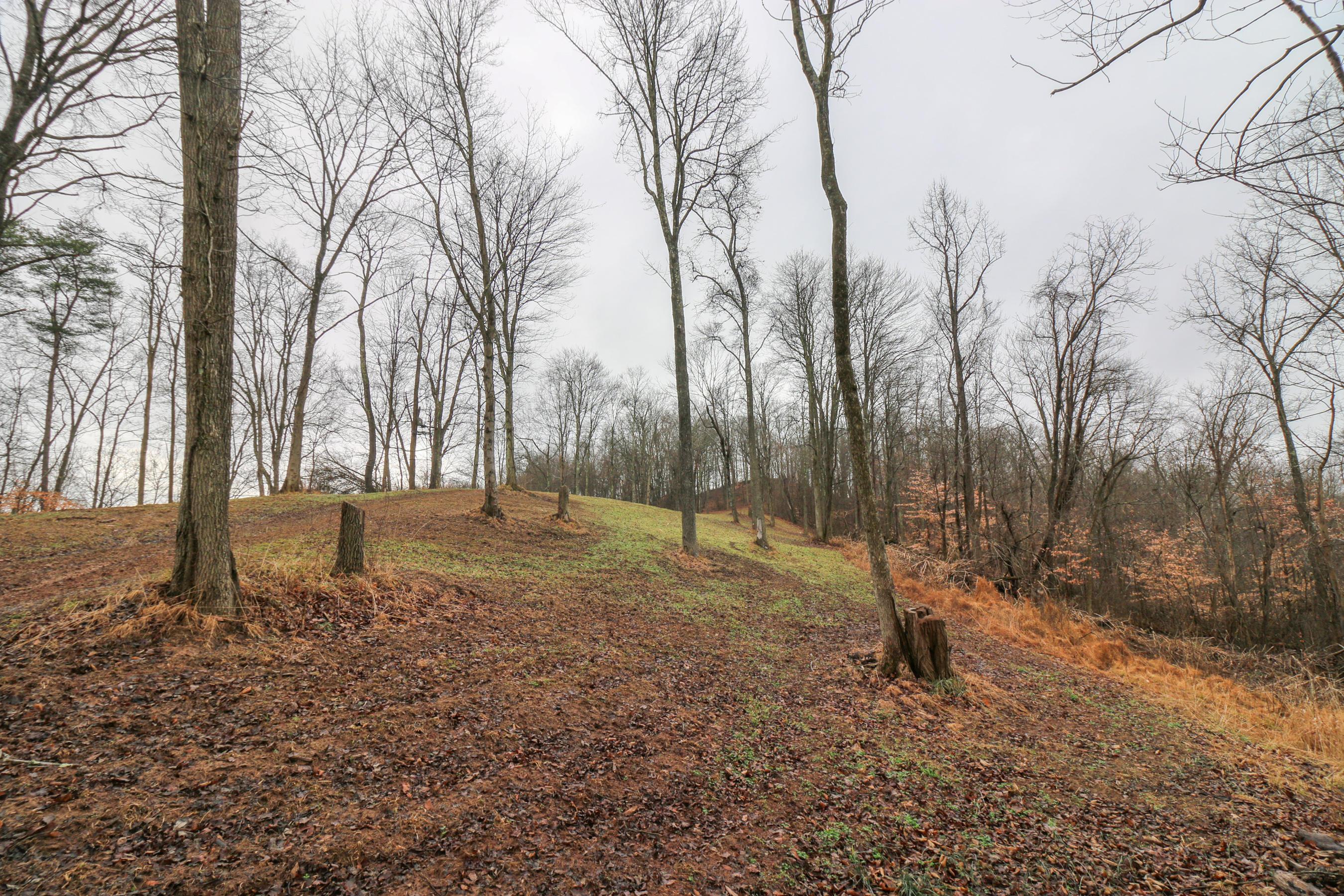 0 Leith Run Road New Matamoras, OH 45767 - Photo 2 of 49