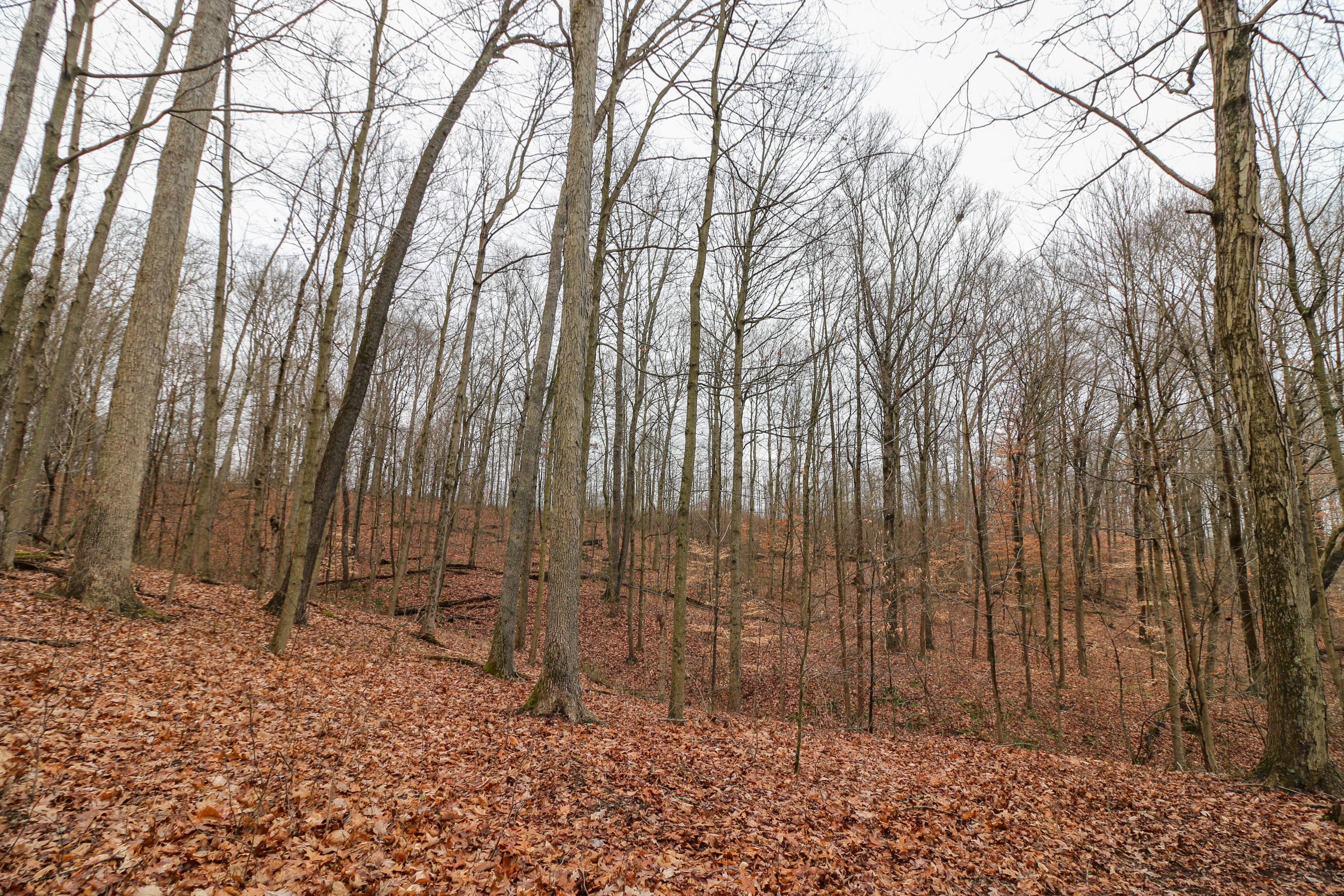 0 Leith Run Road New Matamoras, OH 45767 - Photo 23 of 49