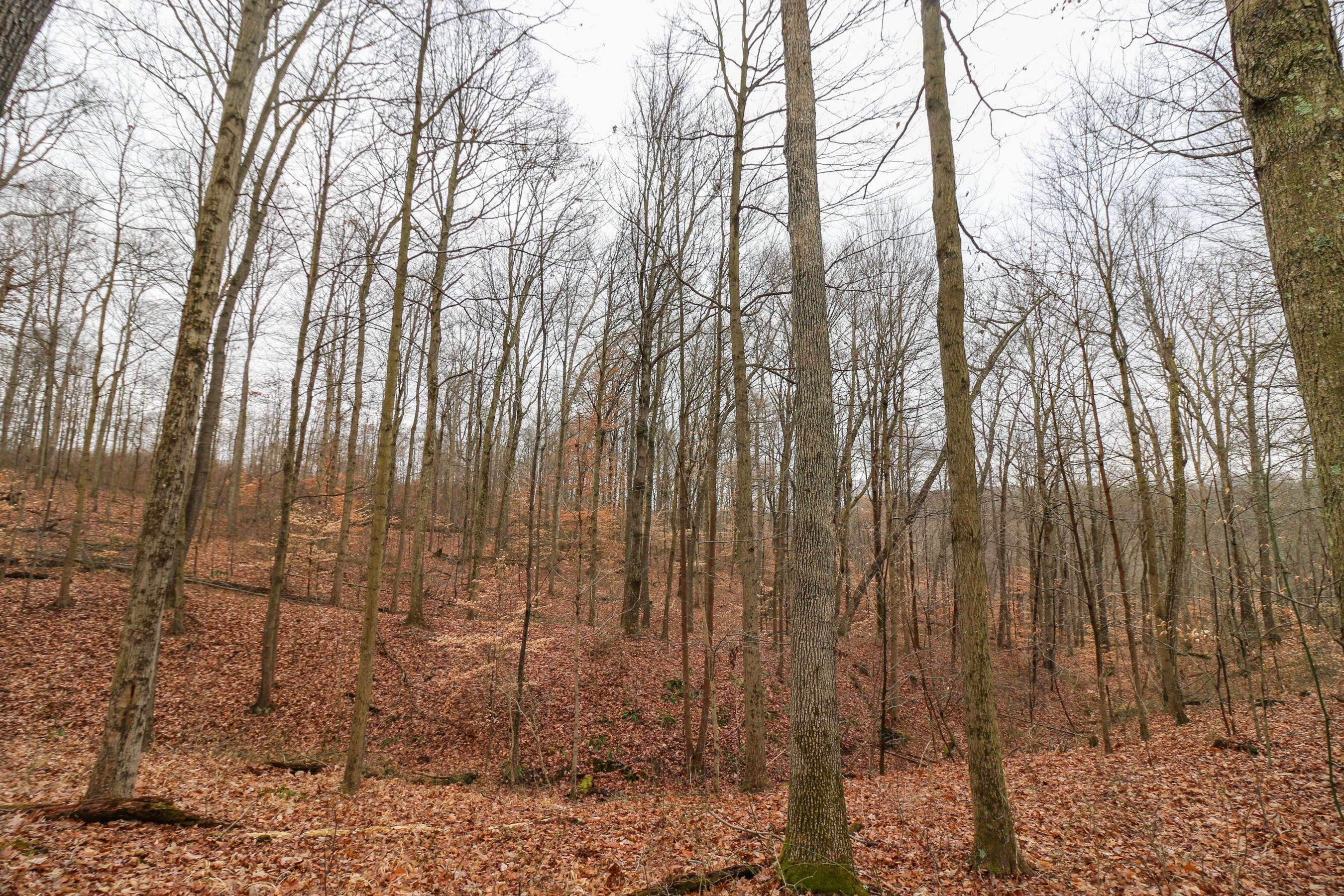 0 Leith Run Road New Matamoras, OH 45767 - Photo 25 of 49