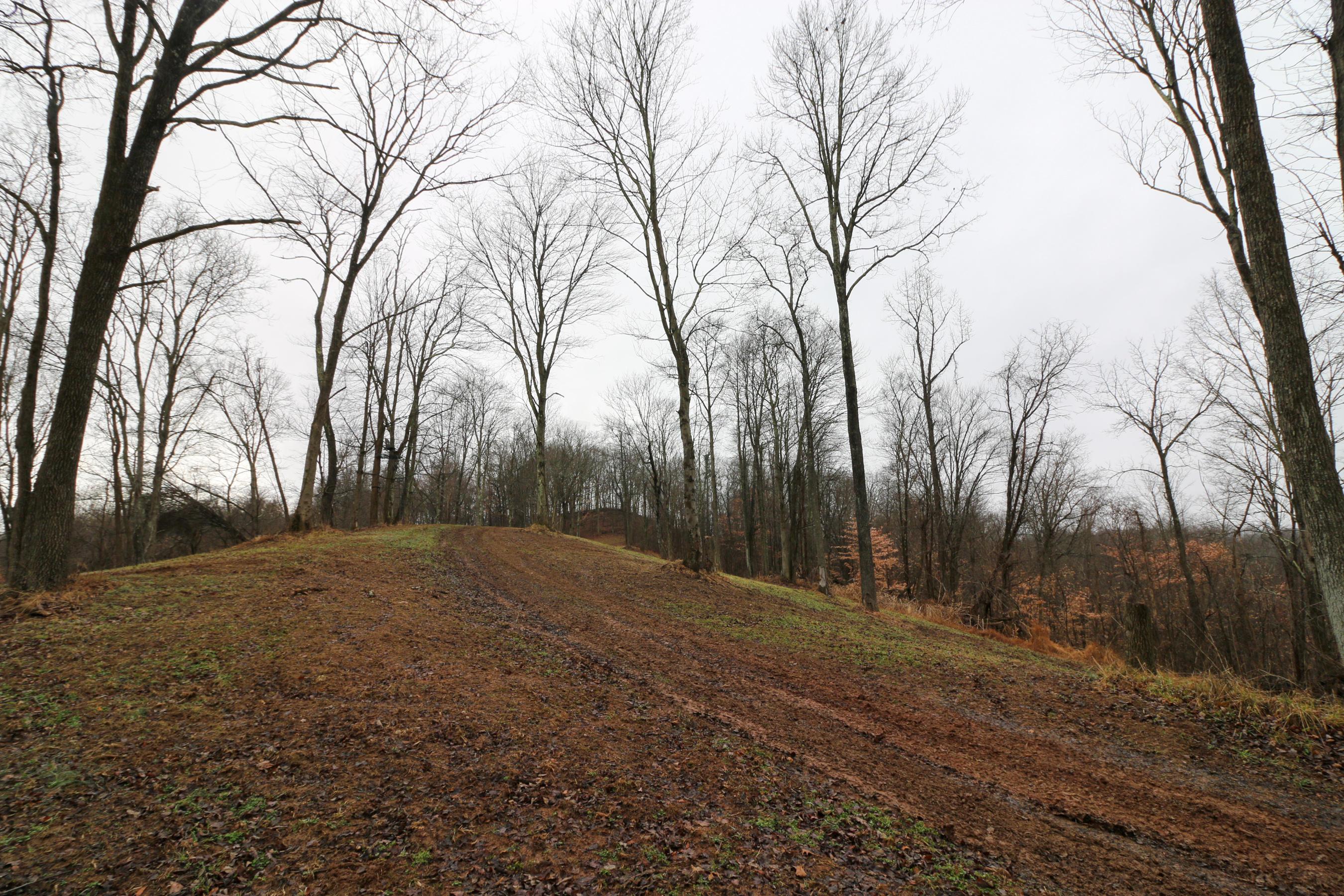 0 Leith Run Road New Matamoras, OH 45767 - Photo 3 of 49