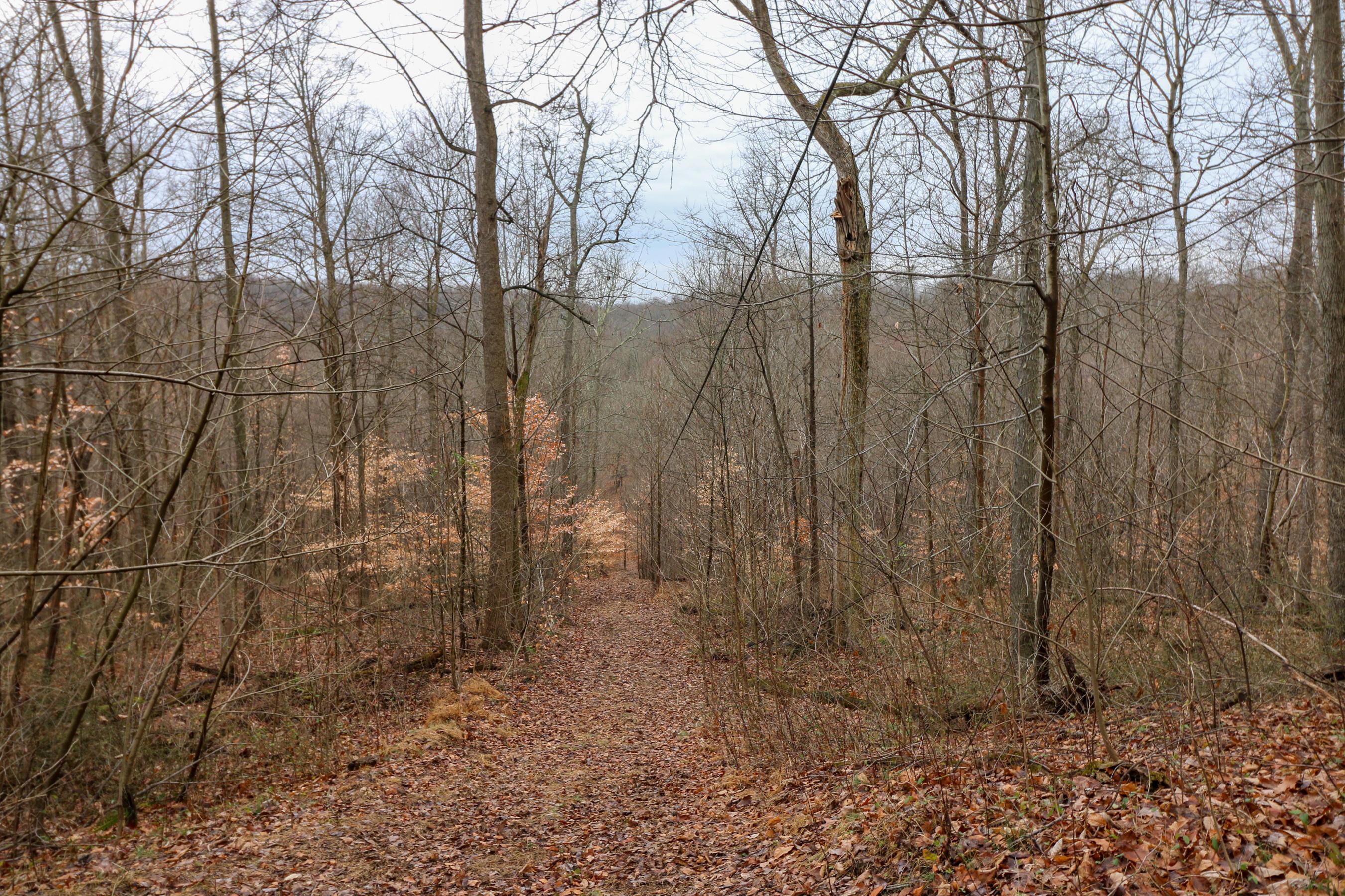 0 Leith Run Road New Matamoras, OH 45767 - Photo 31 of 49