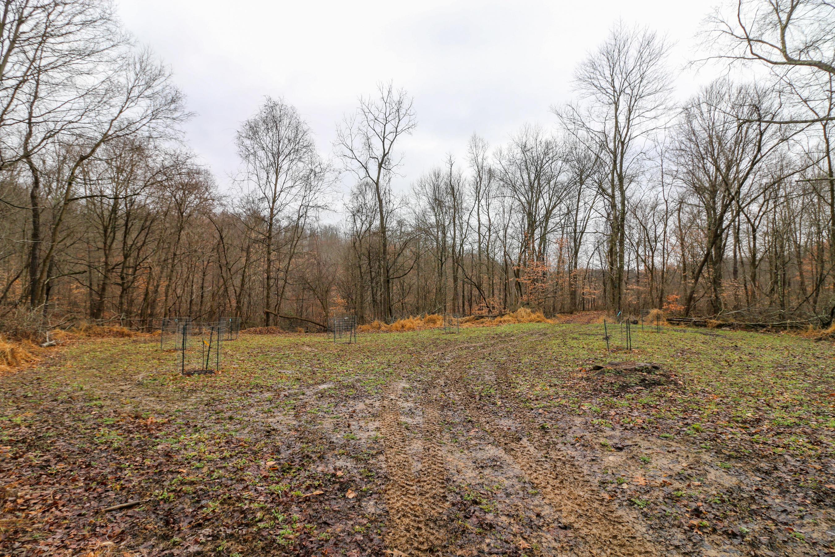 0 Leith Run Road New Matamoras, OH 45767 - Photo 33 of 49
