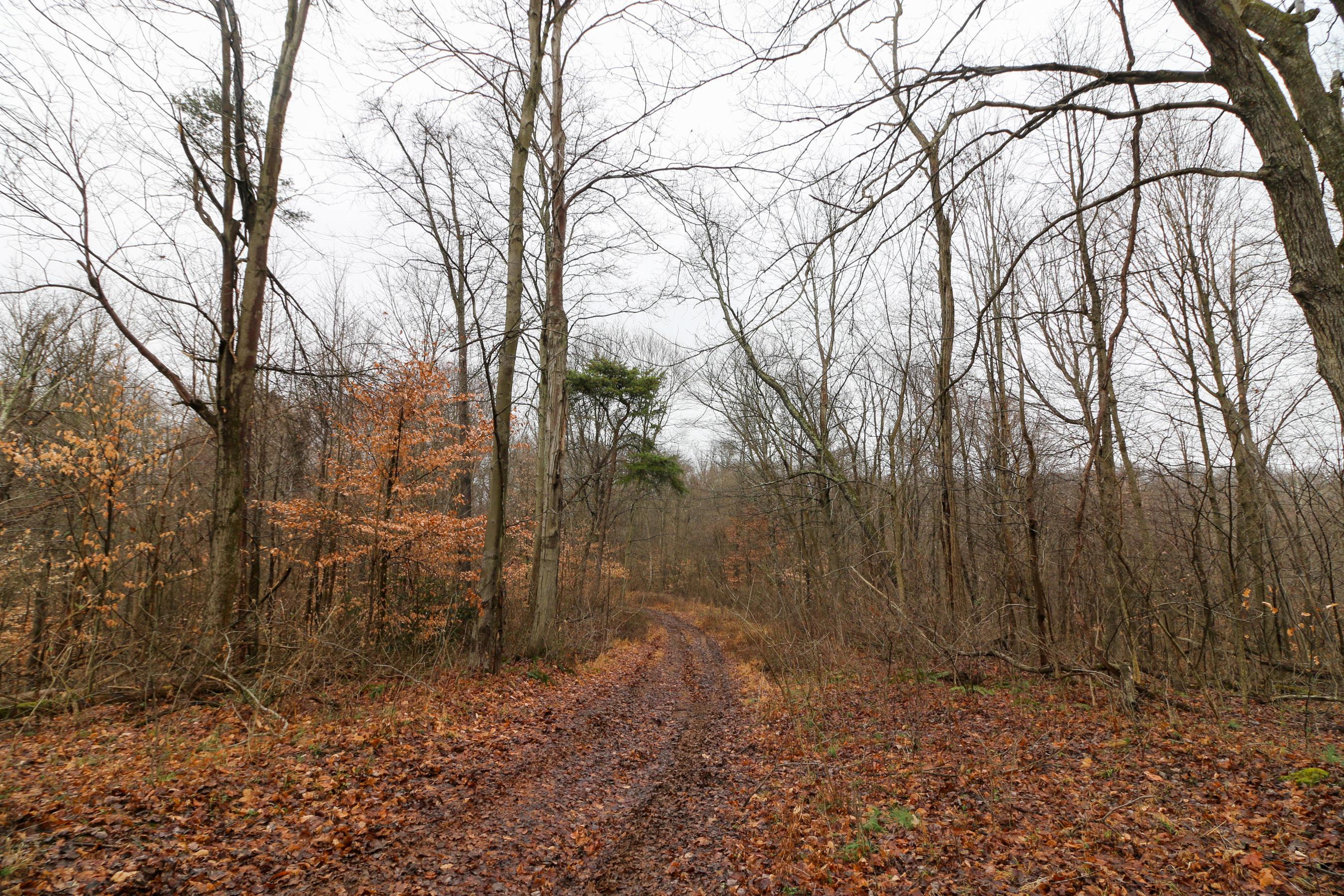 0 Leith Run Road New Matamoras, OH 45767 - Photo 4 of 49