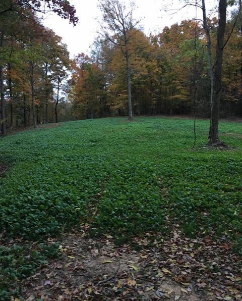 0 Leith Run Road New Matamoras, OH 45767 - Photo 48 of 49