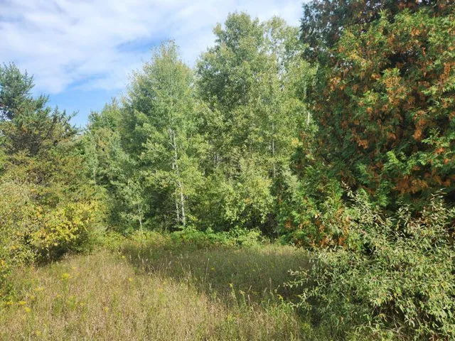 $400,000 | 7385 South 88th Avenue, Rothbury, MI 49452