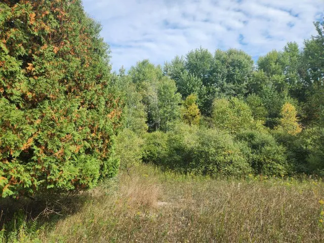 $400,000 | 7385 South 88th Avenue, Rothbury, MI 49452