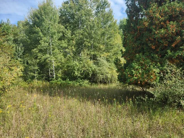 $400,000 | 7385 South 88th Avenue, Rothbury, MI 49452