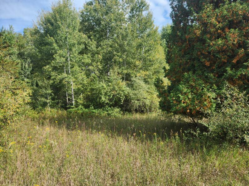 7385 South 88th Avenue Rothbury, MI 49452 - Photo 38 of 41 image000008 - Copy (2)