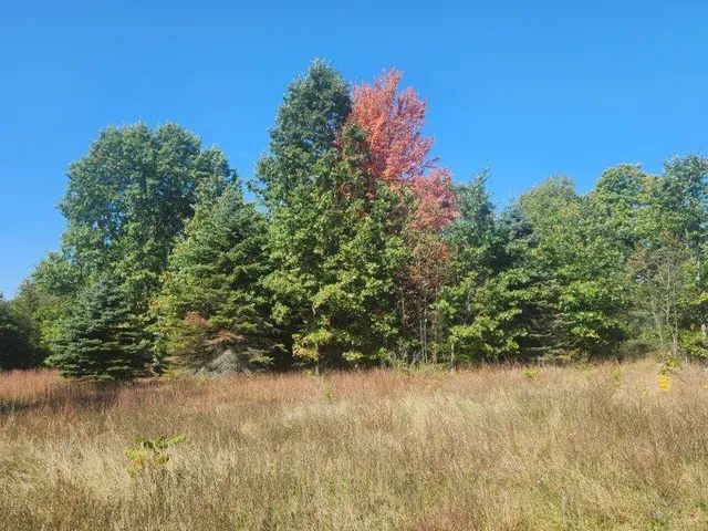 $400,000 | 7385 South 88th Avenue, Rothbury, MI 49452