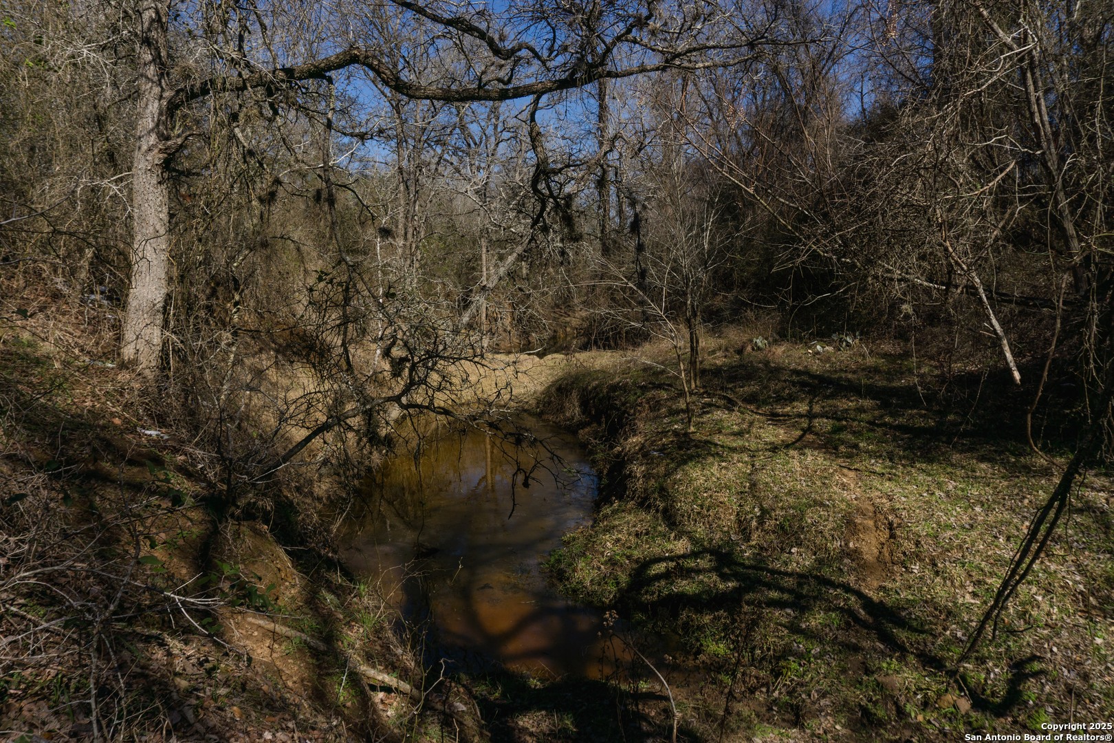 485 Marrou Road Seguin, TX 78155 - Photo 11 of 15 a view of a forest with a tree