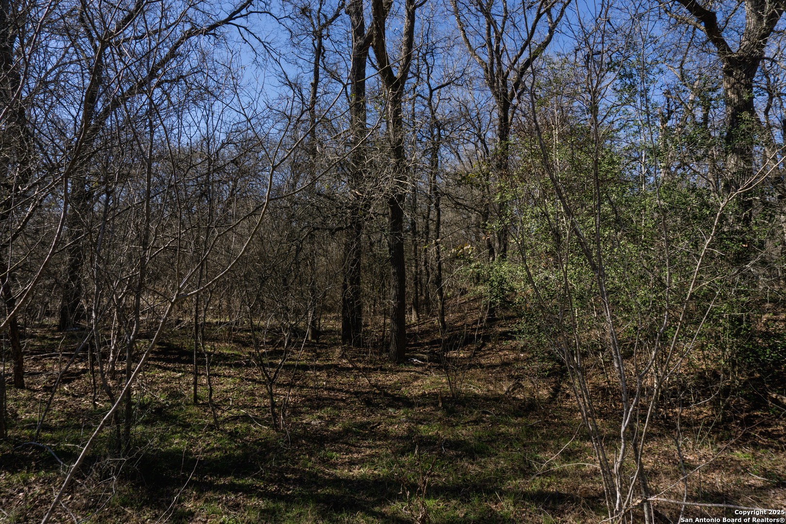 485 Marrou Road Seguin, TX 78155 - Photo 14 of 15 a view of outdoor space and yard