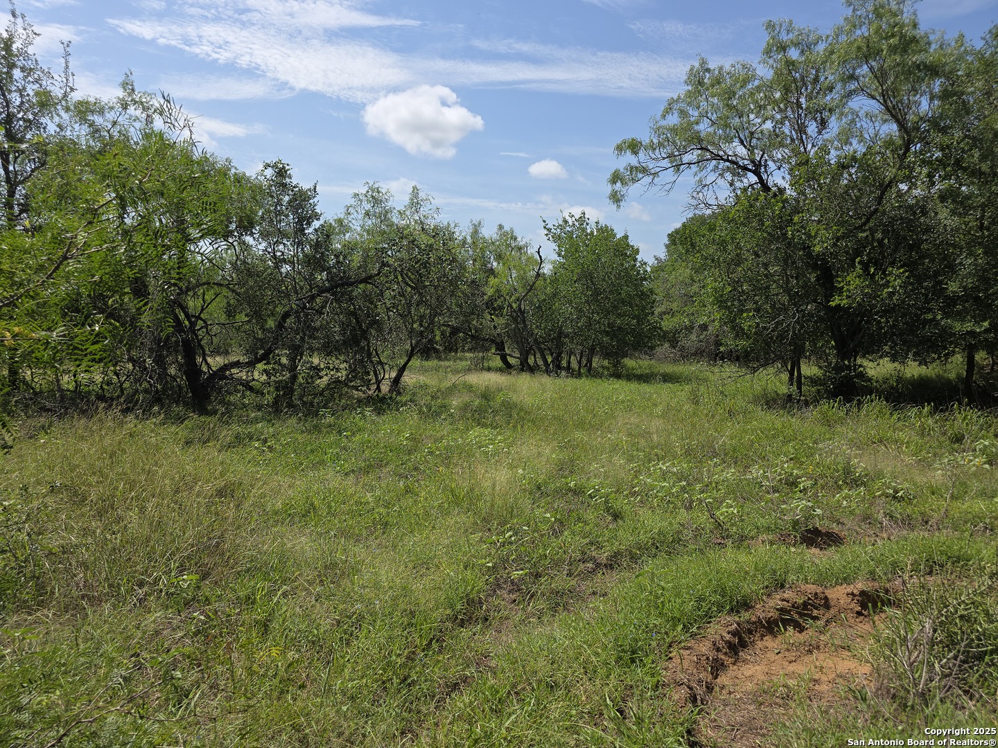 485 Marrou Road Seguin, TX 78155 - Photo 2 of 15 a view of a green field with lots of bushes