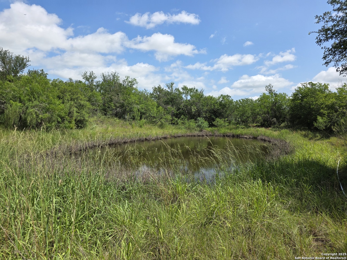 485 Marrou Road Seguin, TX 78155 - Photo 3 of 15 a view of a lush green forest with lots of trees