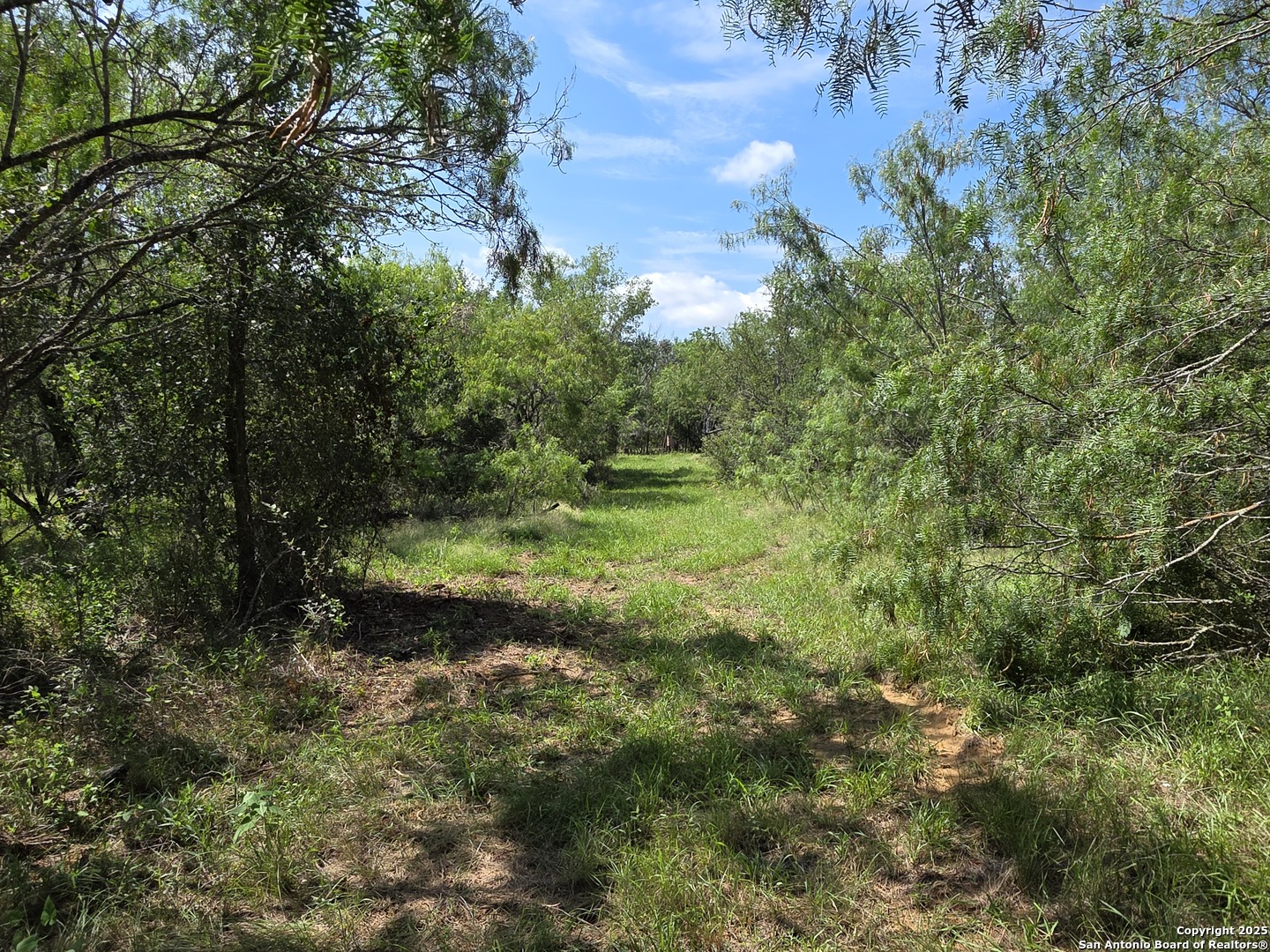 485 Marrou Road Seguin, TX 78155 - Photo 4 of 15 a view of outdoor space and trees all around