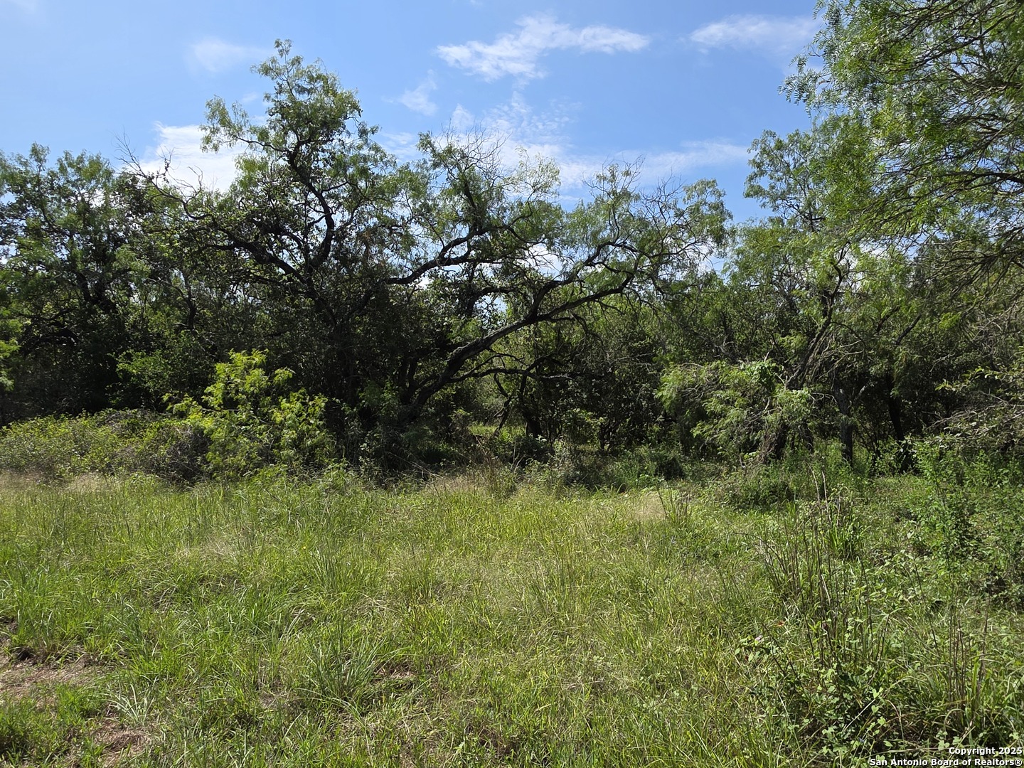 485 Marrou Road Seguin, TX 78155 - Photo 5 of 15 a view of a lush green space