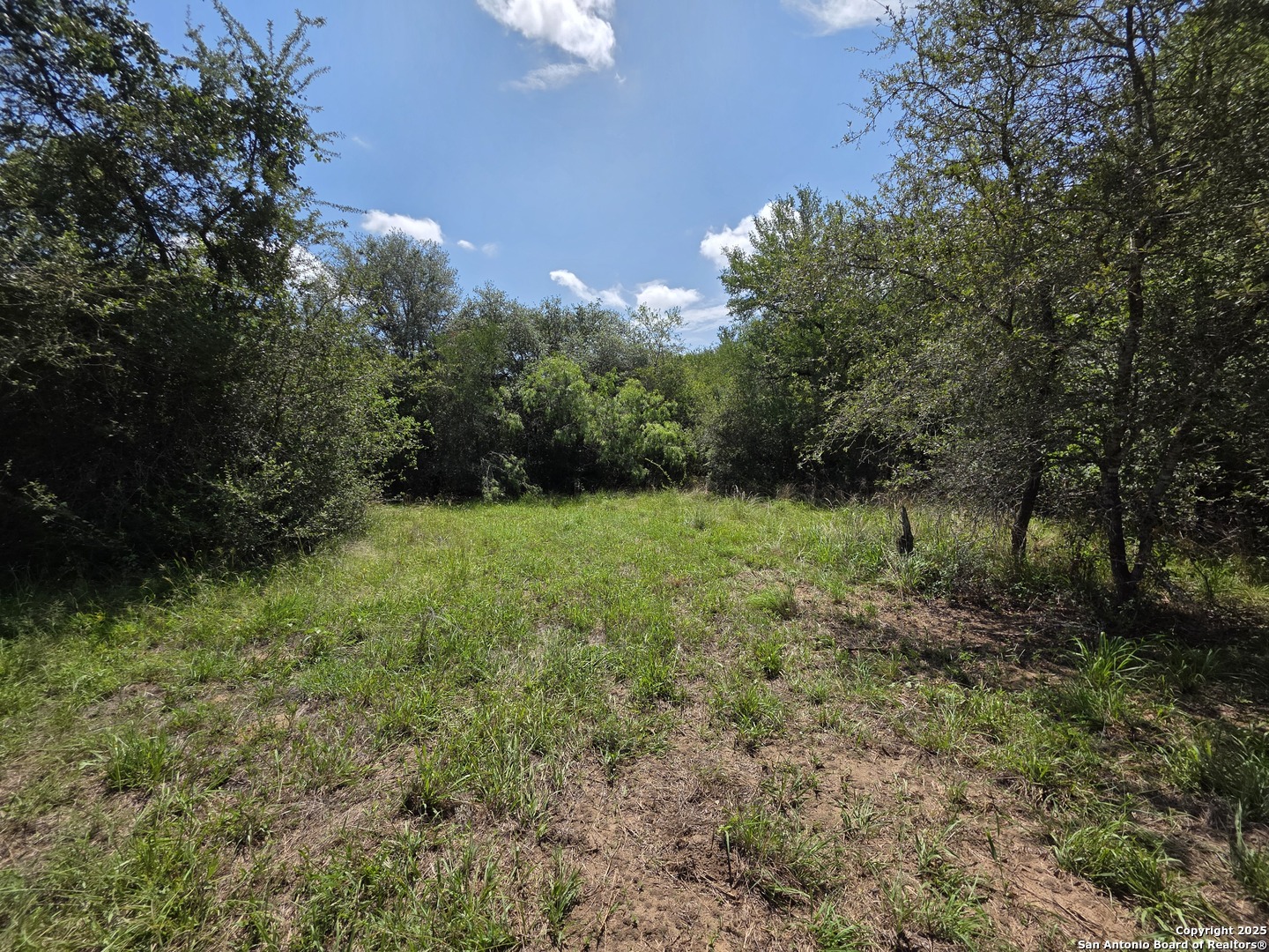 485 Marrou Road Seguin, TX 78155 - Photo 7 of 15 a view of an outdoor space and a yard