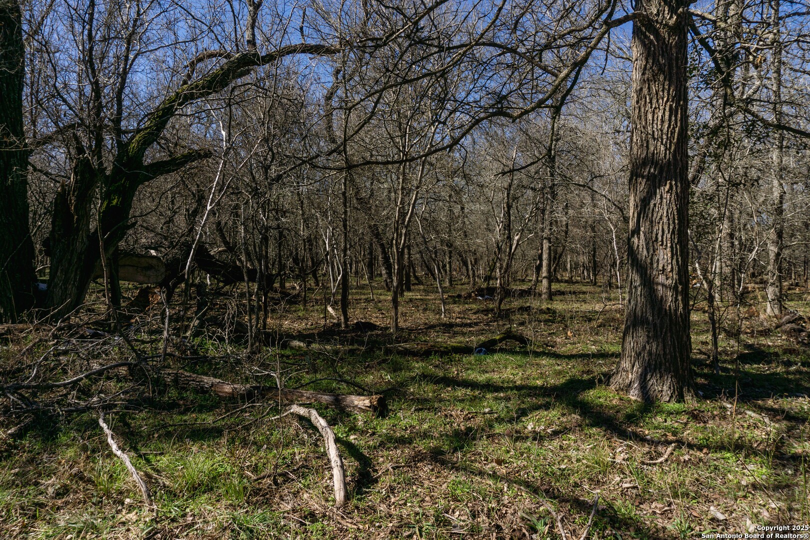485 Marrou Road Seguin, TX 78155 - Photo 10 of 15 a view of yard