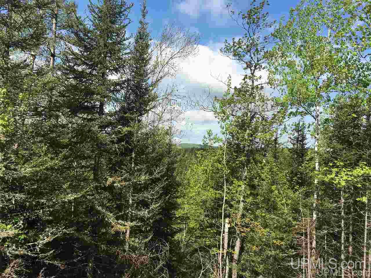 80-acres 80-acres Off Red Road Negaunee, MI 49866 - Photo 1 of 8