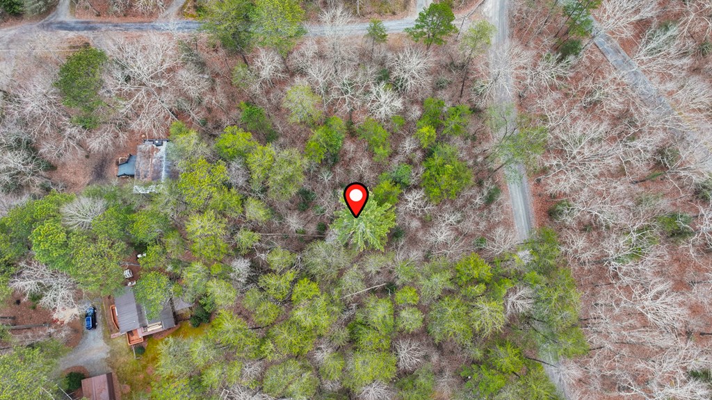 Lot 5 Red Bird Blue Ridge Blue Ridge, GA 30513 - Photo 7 of 16 Gallery Image 7