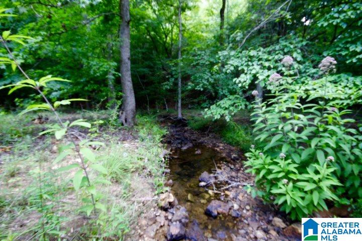 3440 Bulldog Bend Road Brierfield, AL 35035 - Photo 6 of 23
