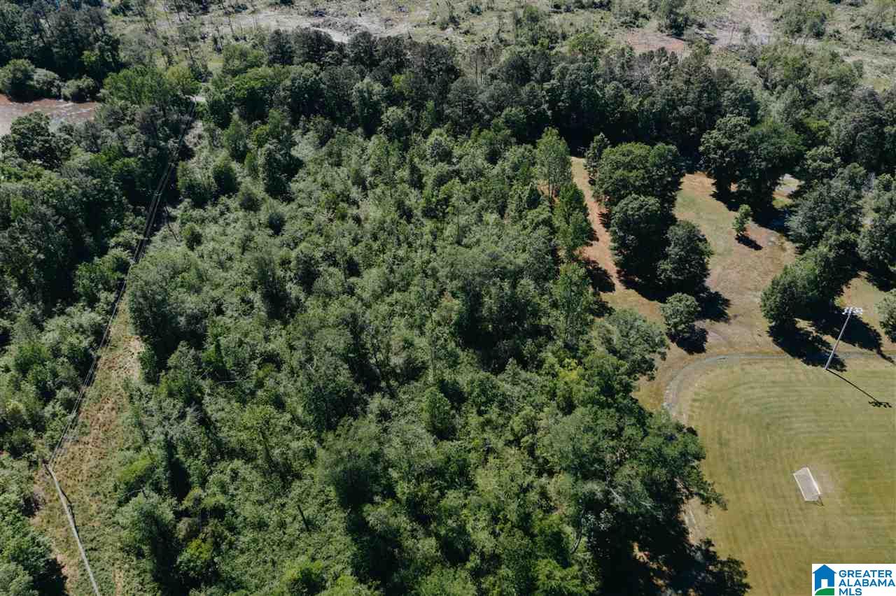 0 D Street Jacksonville, AL 36265 - Photo 12 of 23