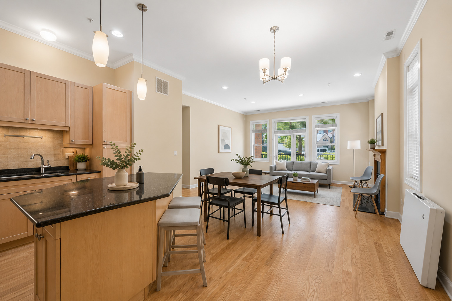 819 Foster Street, Unit 1S Evanston, IL 60201 - Photo 3 of 15