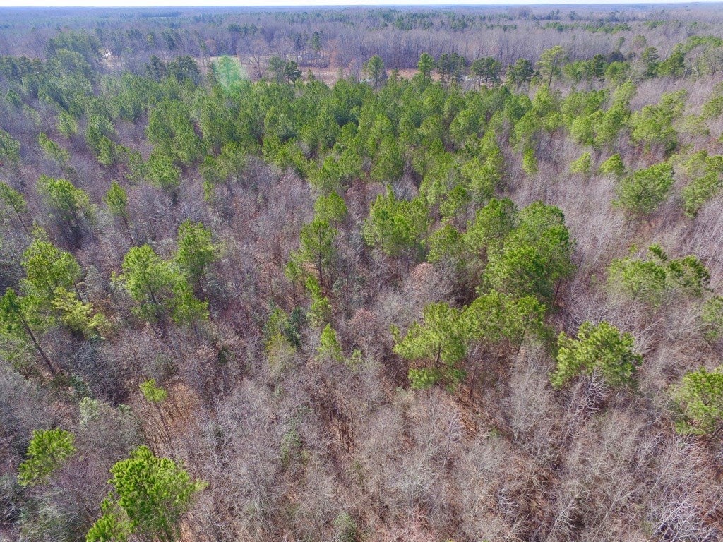 0 Taylor Ferry Road Boydton, VA 23917 - Photo 9 of 36 Gallery Image 9