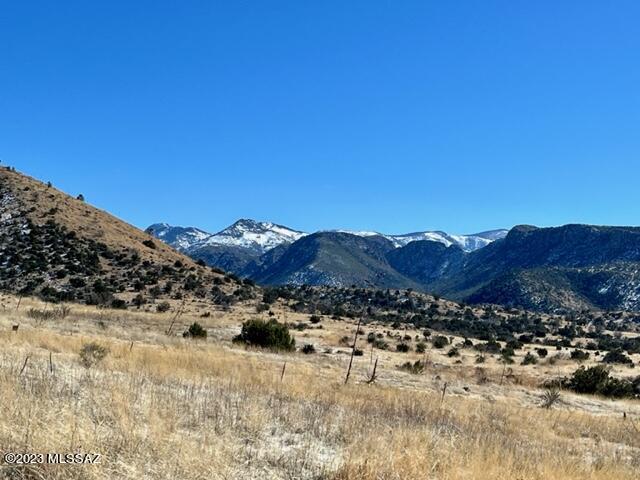 Pinery Canyon Road Willcox, AZ 85643 - Photo 4 of 7
