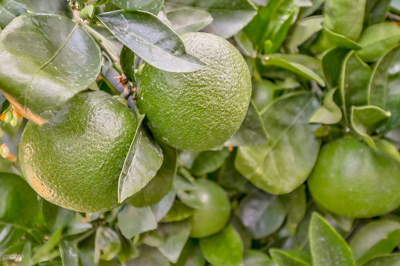 1702 Watercrest Way Simi Valley, CA 93065 - Photo 30 of 32 lBackyard2