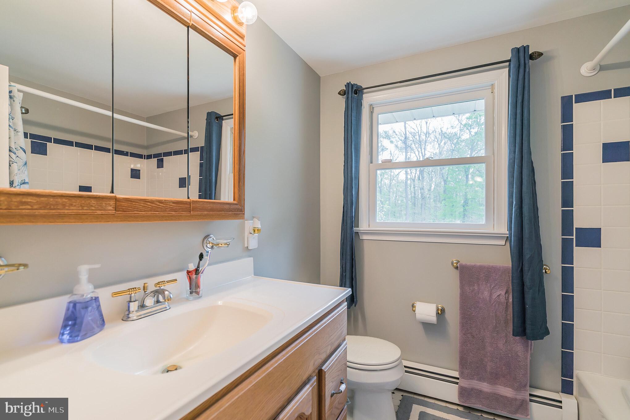 41 Cepp Road Perkiomenville, PA 18074 - Photo 27 of 30 hall bathroom