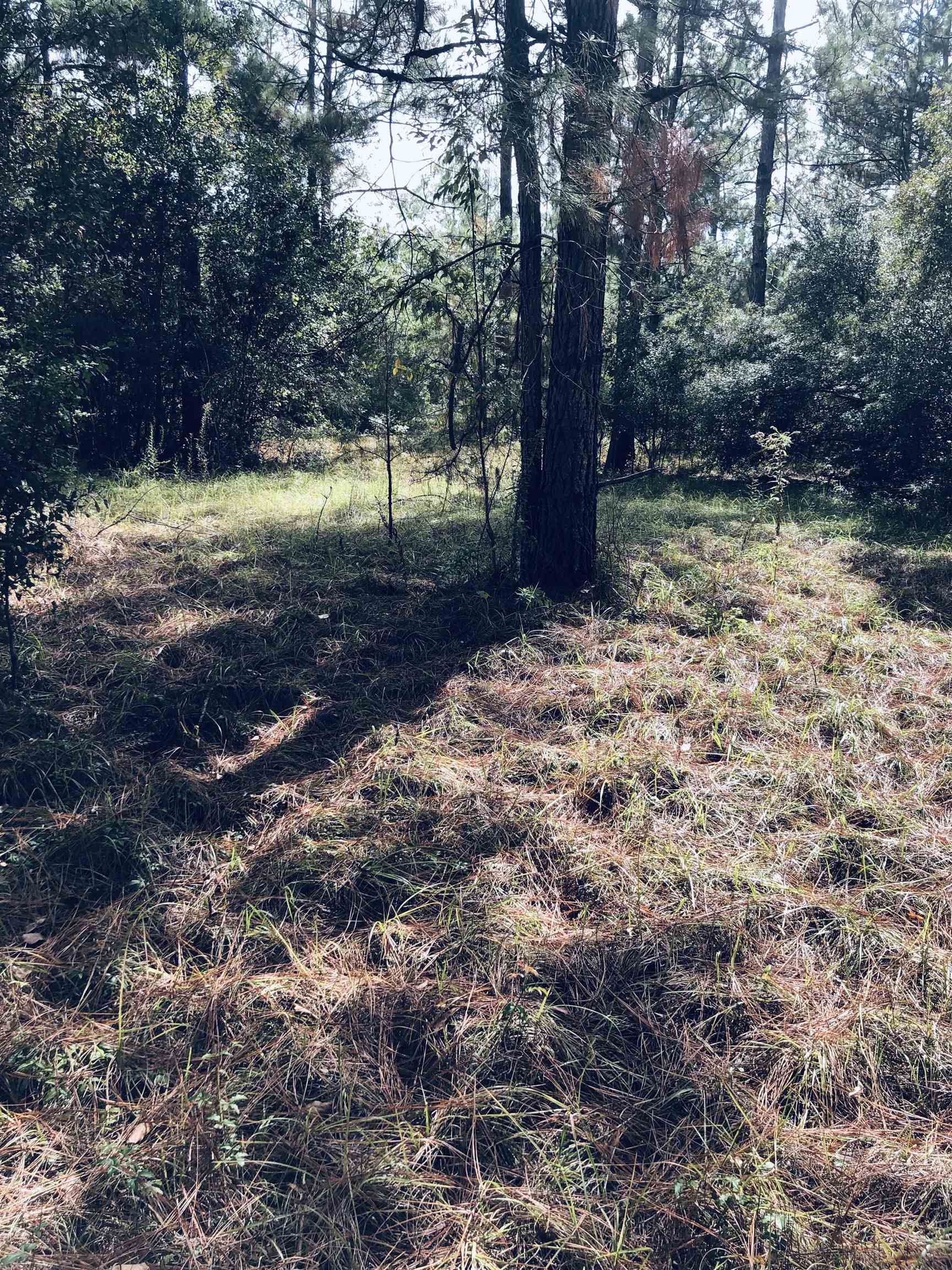 20950 Lacey Road Silverhill, AL 36576 - Photo 7 of 17