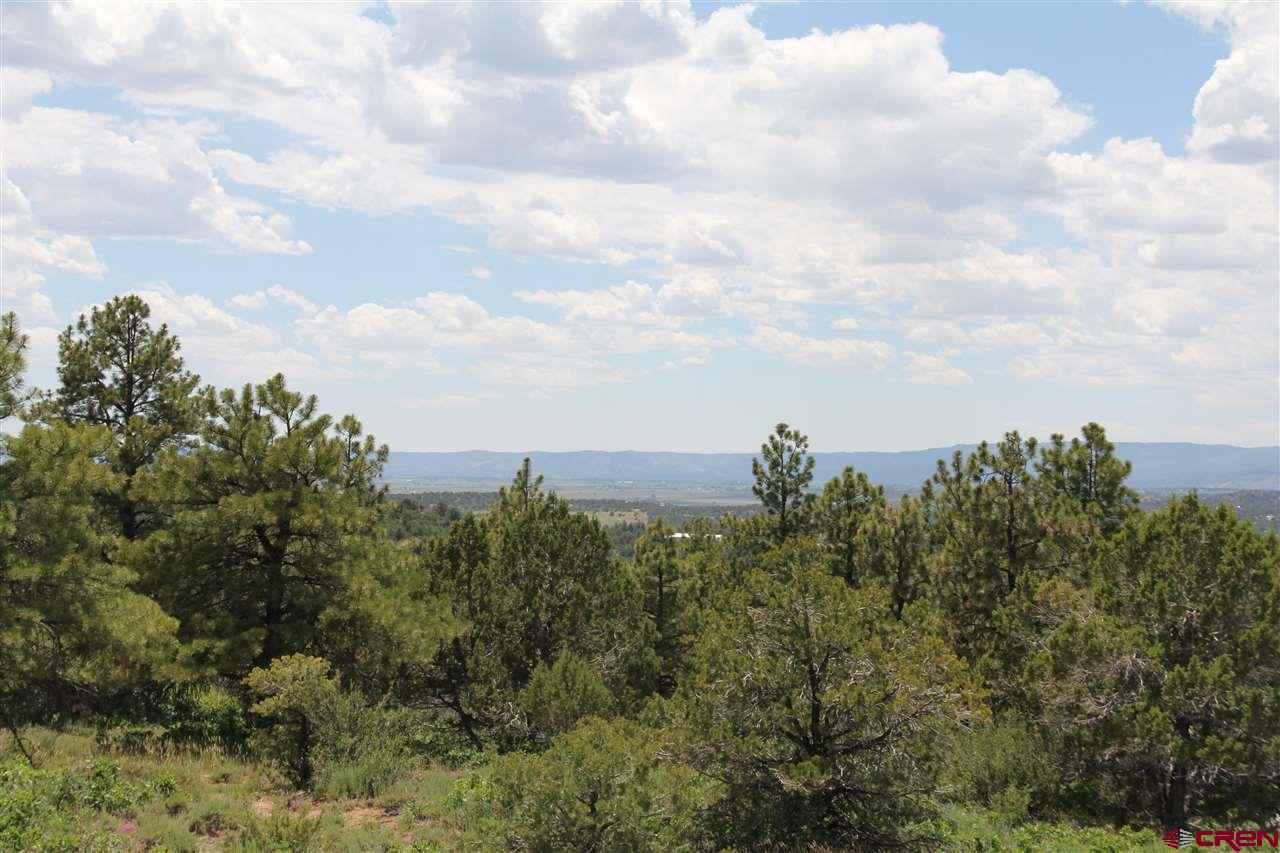 535 Hillcrest Road Bayfield, CO 81122 - Photo 2 of 11 Gallery Image 2