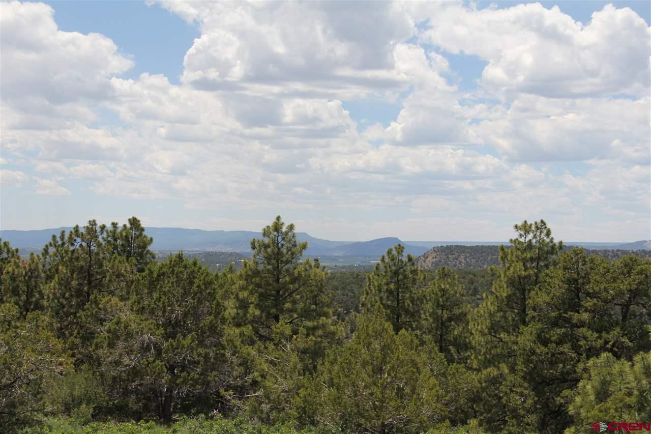 535 Hillcrest Road Bayfield, CO 81122 - Photo 3 of 11 Gallery Image 3