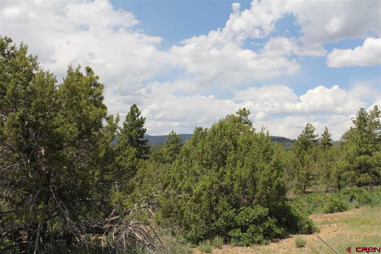 535 Hillcrest Road Bayfield, CO 81122 - Photo 7 of 11 Gallery Image 7