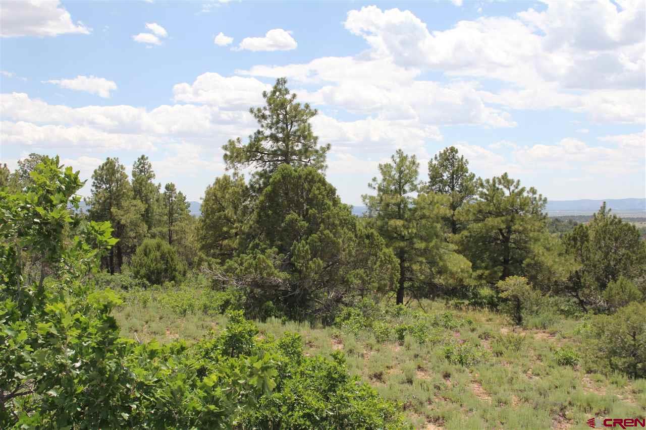 535 Hillcrest Road Bayfield, CO 81122 - Photo 10 of 11 Gallery Image 10