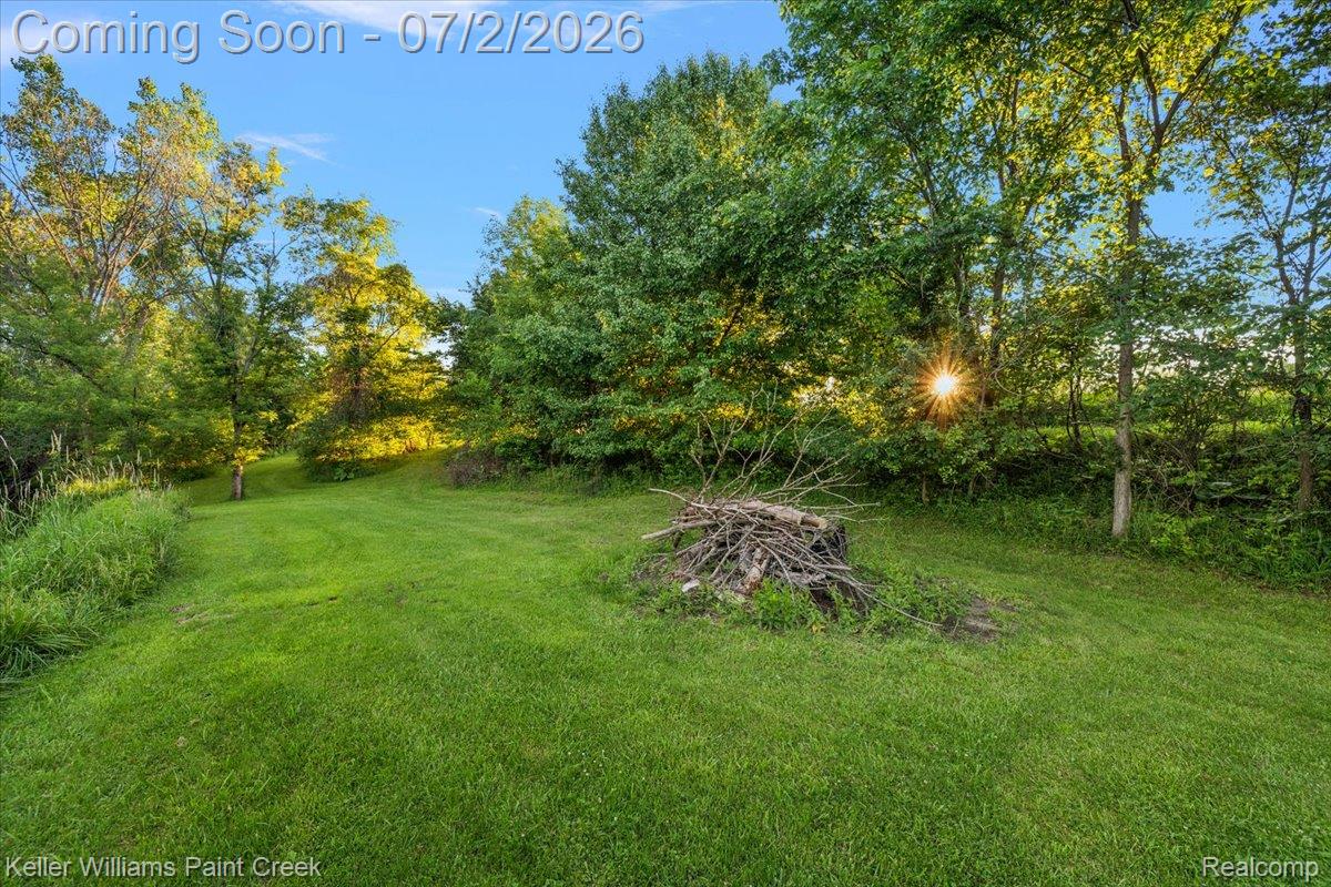 54230 Card Road Macomb, MI 48042 - Photo 20 of 73 Expansive green lawn surrounded by mature trees and natural landscaping
