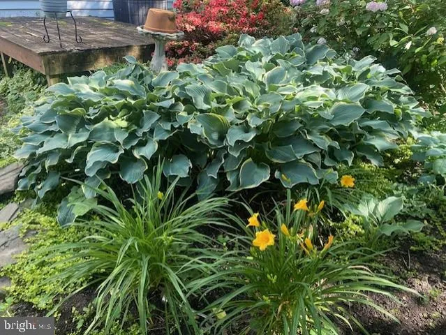 $875,000 | 3814 Elbert Avenue, Alexandria, VA 22305